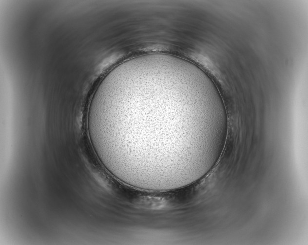 X0000086890159200704301004