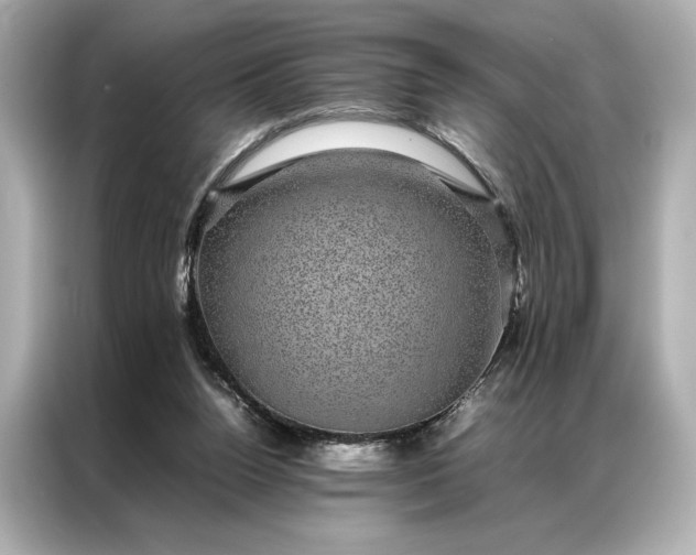 X0000086890160200704301004