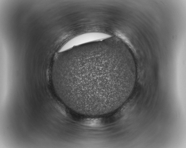 X0000086890161200704301004