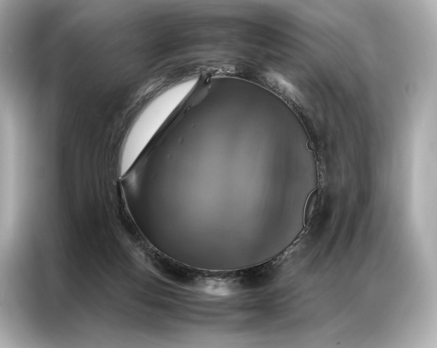 X0000086890163200704301004