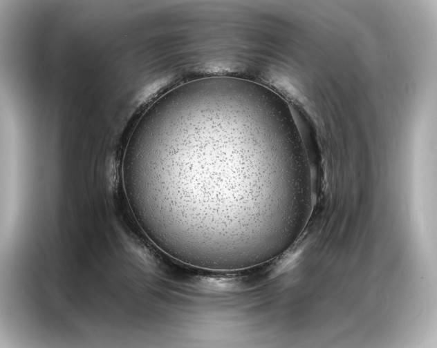 X0000086890164200704301004