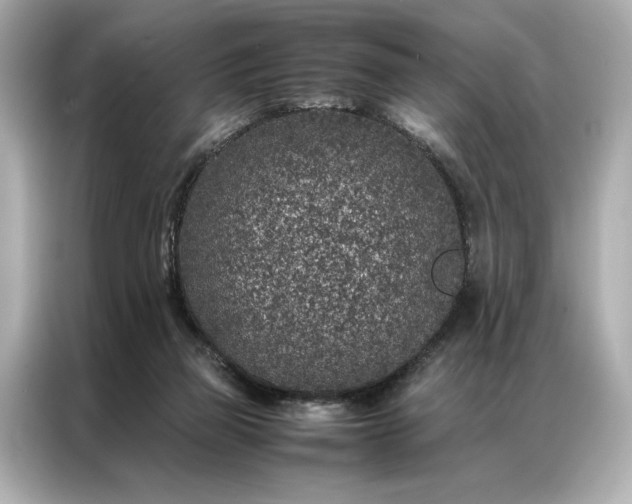 X0000086890165200704301004