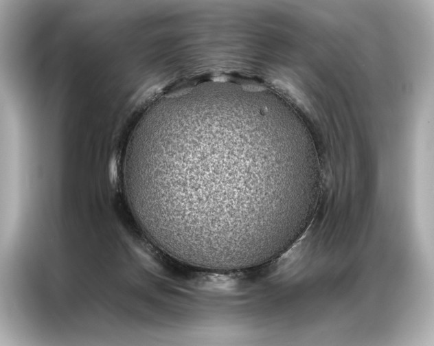 X0000086890166200704301004