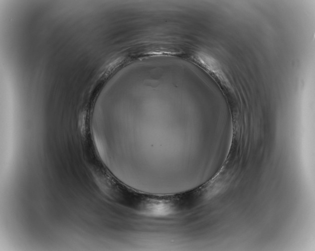 X0000086890167200704301004