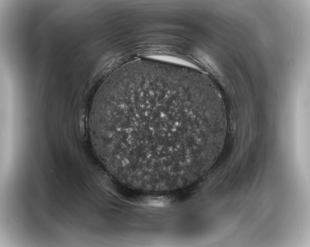 X0000086890169200704301004