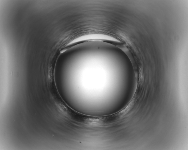 X0000086890170200704301004