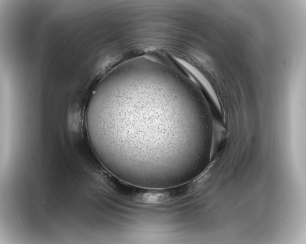 X0000086890172200704301004