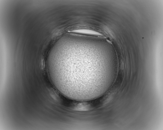 X0000086890173200704301004