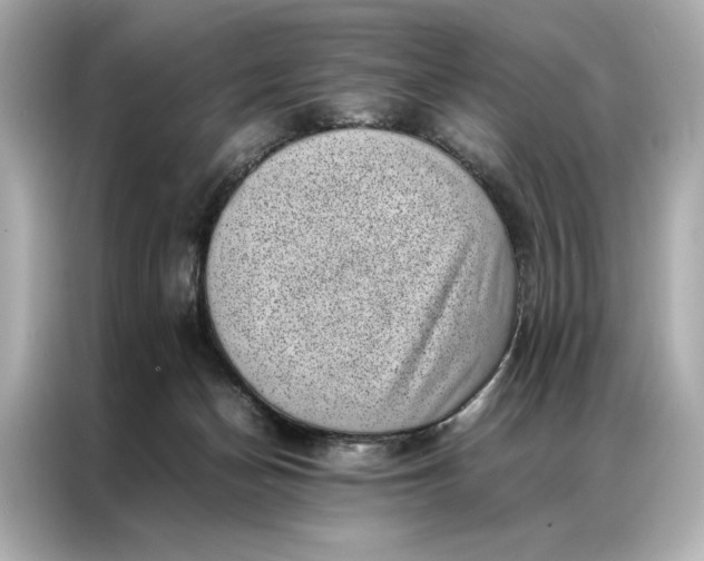 X0000086890174200704301004