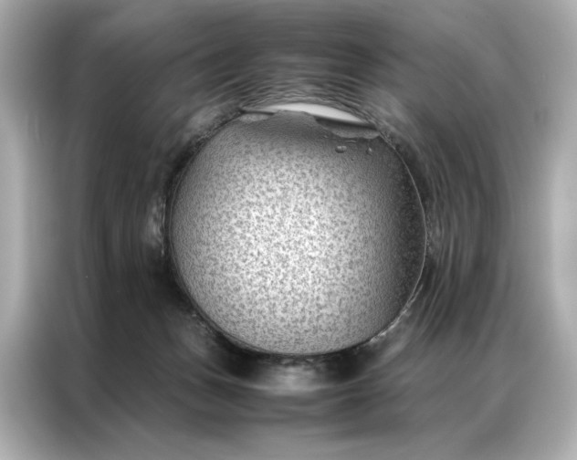 X0000086890175200704301004