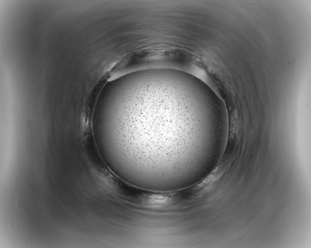 X0000086890176200704301004