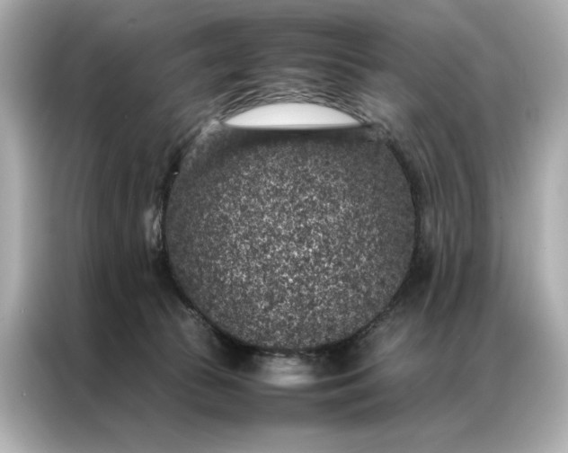 X0000086890177200704301004