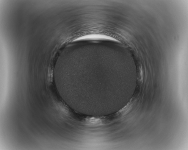 X0000086890180200704301004