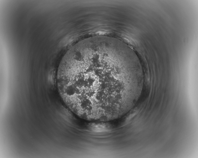 X0000086890181200704301004