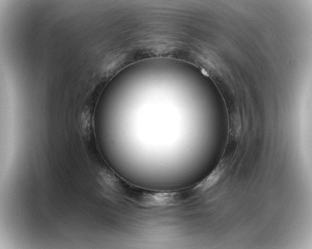 X0000086890184200704301004