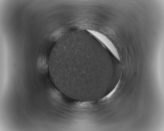 X0000086890186200704301004