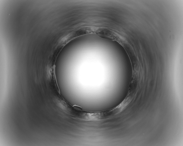 X0000086890188200704301004