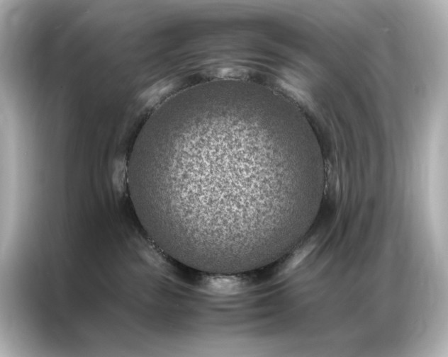 X0000086890189200704301004