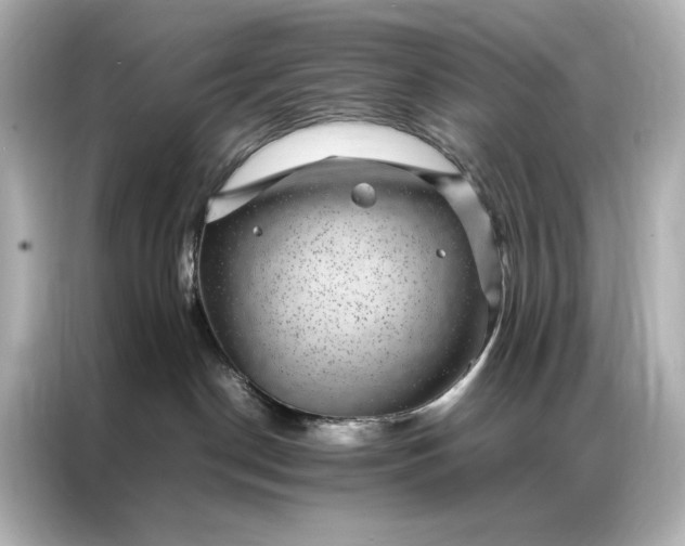 X0000086890190200704301004