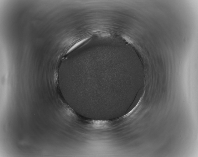 X0000086890192200704301004