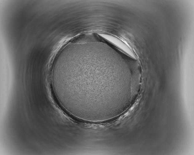 X0000086890193200704301004