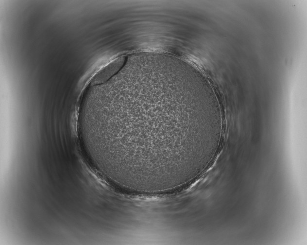 X0000086890194200704301004