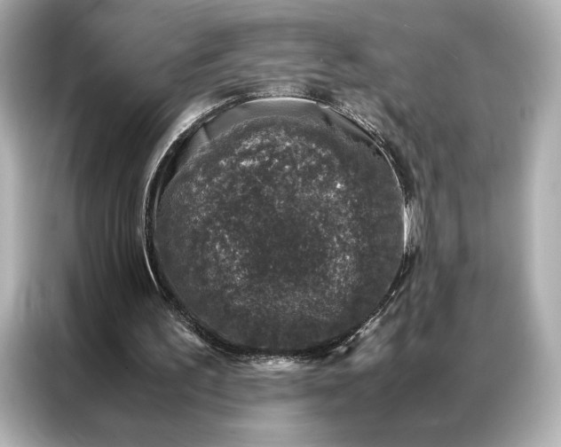 X0000086890195200704301004