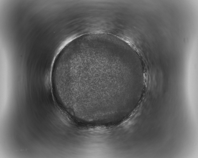 X0000086890196200704301004