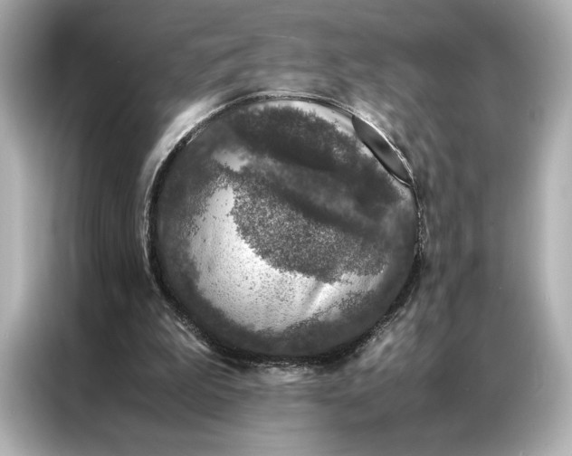 X0000086890199200704301004