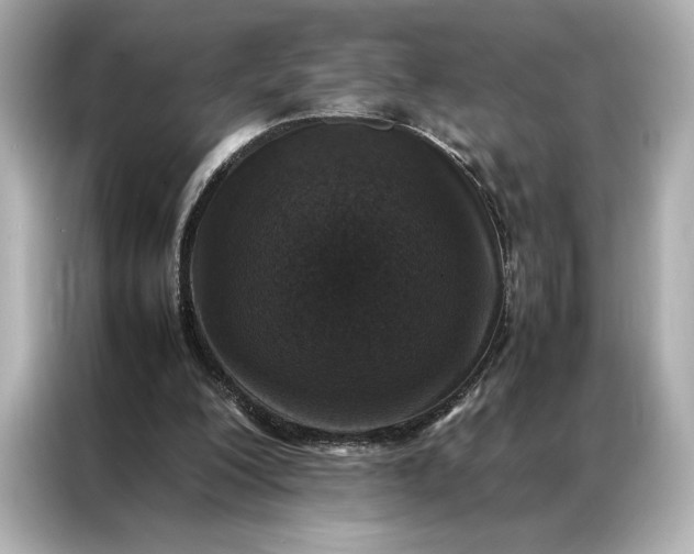 X0000086890200200704301004