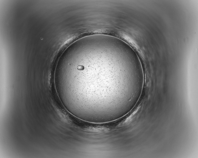 X0000086890201200704301004