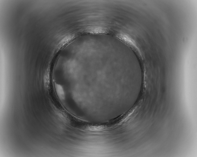 X0000086890202200704301004