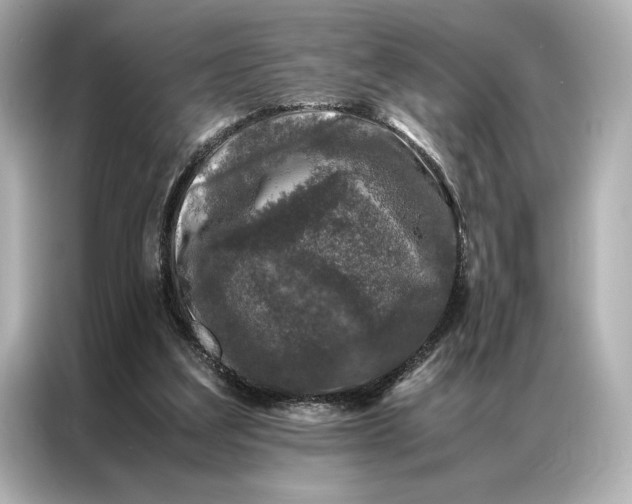 X0000086890203200704301004