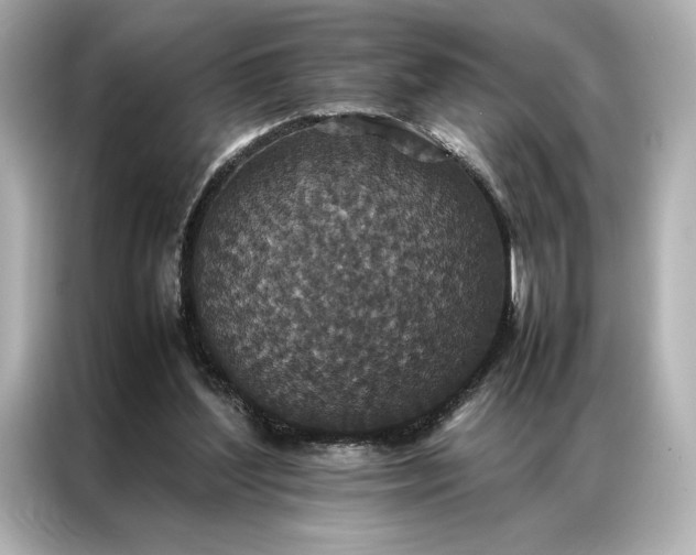 X0000086890204200704301004