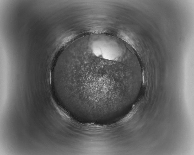 X0000086890205200704301003