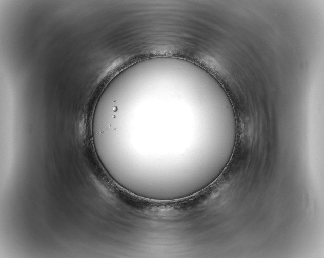 X0000086890208200704301003