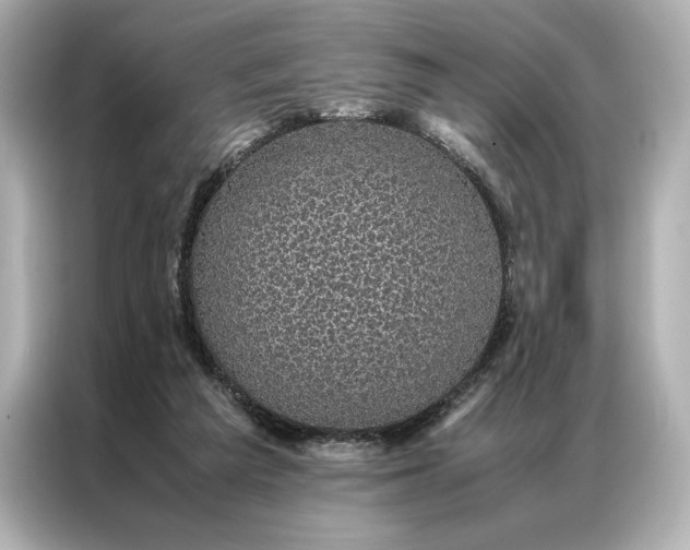 X0000086890209200704301003