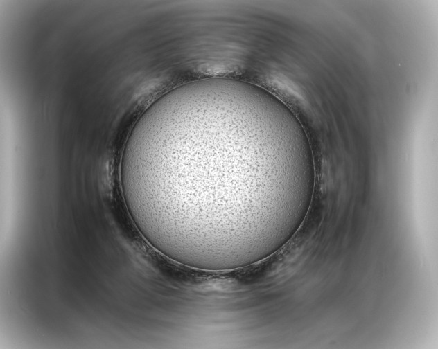 X0000086890210200704301003