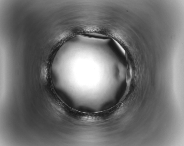 X0000086890211200704301003