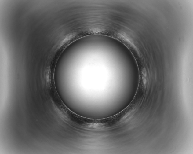 X0000086890212200704301003