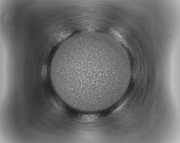 X0000086890213200704301003