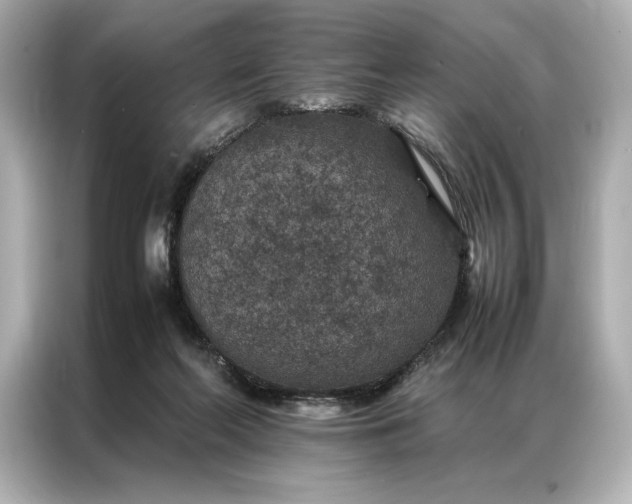 X0000086890214200704301003