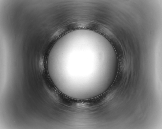 X0000086890216200704301003