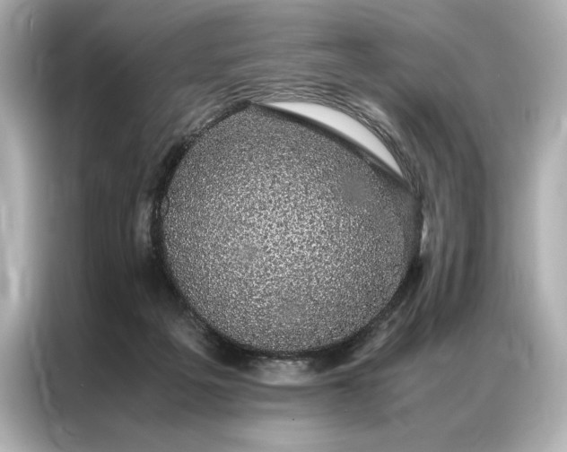 X0000086890217200704301003