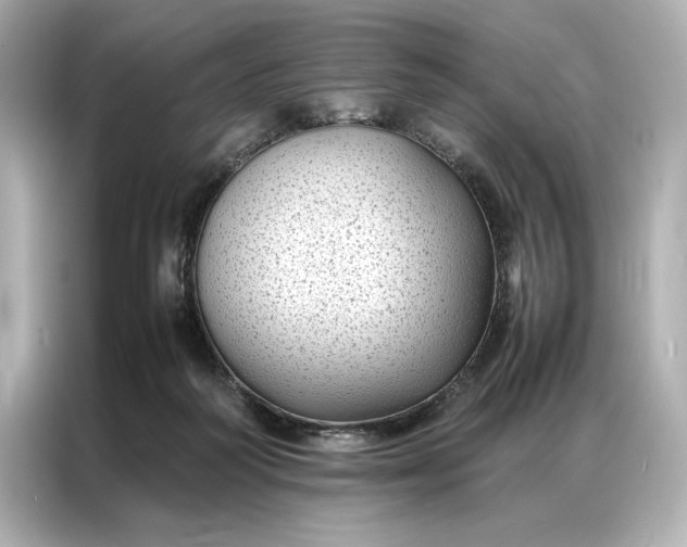 X0000086890218200704301003