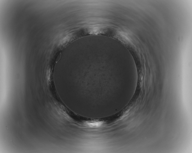 X0000086890219200704301003