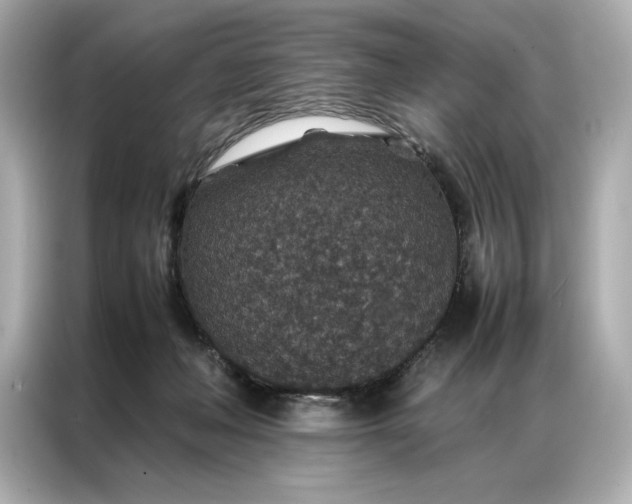 X0000086890222200704301003