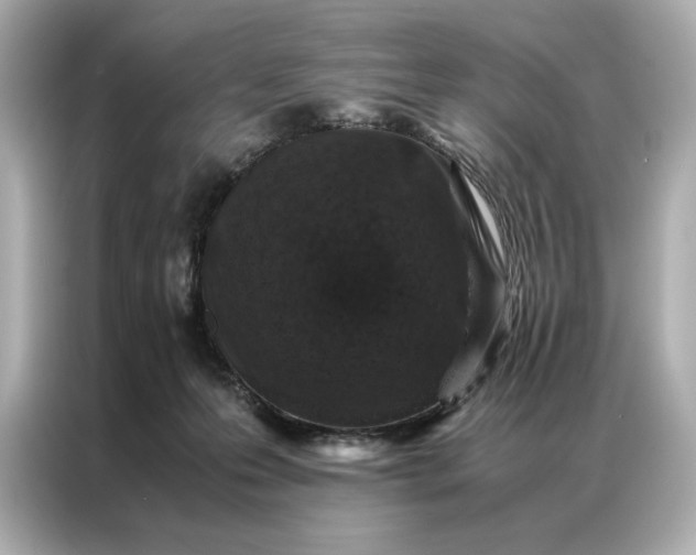 X0000086890223200704301003