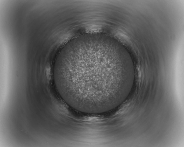 X0000086890224200704301003