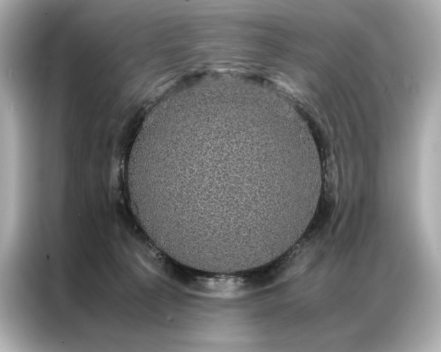 X0000086890225200704301003